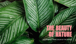 Principles Of Ecotourism - Multi-Purpose Web Page Design