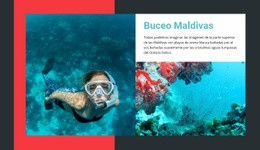 Actividades Y Cursos De Buceo - Maqueta Del Sitio