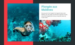 Activités Et Cours De Plongée – Modèle De Page HTML5