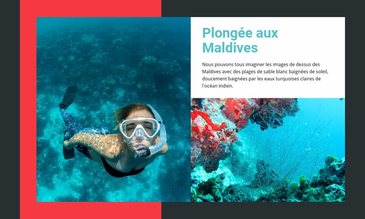 Activités et cours de plongée Page de destination