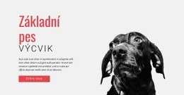 Rozvržení Webu Pro Nácvik Nových Dovedností