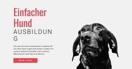 Neue Fähigkeiten Trainieren - HTML5-Vorlage Für Eine Seite