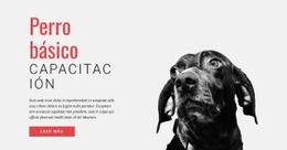 Entrenando Nuevas Habilidades - Maqueta Web