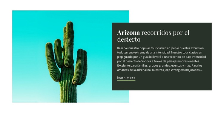 Tours por el desierto de Arizona Maqueta de sitio web
