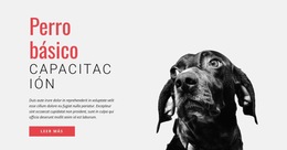 Entrenando Nuevas Habilidades #Website-Templates-Es-Seo-One-Item-Suffix