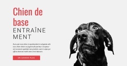 Conception La Plus Créative Pour Former De Nouvelles Compétences