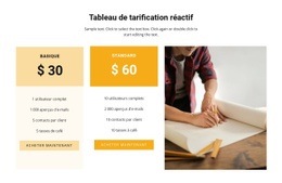 Superbe Conception De Site Web Pour Tarif Confortable