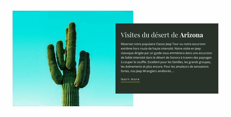 Excursions dans le désert de l'Arizona Maquette de site Web