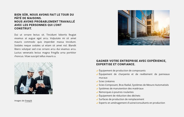 Vous avez une vision Thème WordPress