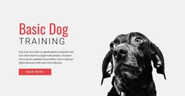 Training New Skills Wysiwyg Editor Html