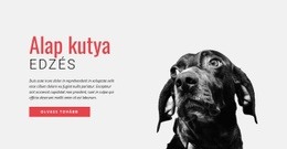 Új Készségek Képzése – Reszponzív Webhely