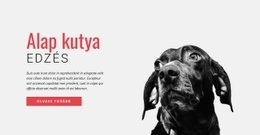 A Legkreatívabb Design A(Z) Új Készségek Képzése Számára