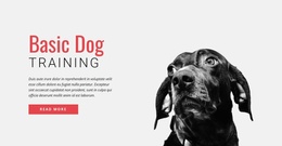 Training New Skills - Creative Multipurpose Joomla Template