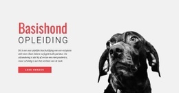 Meest Creatieve Ontwerp Voor Nieuwe Vaardigheden Trainen