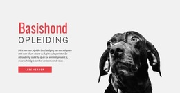 Website-Indeling Voor Nieuwe Vaardigheden Trainen