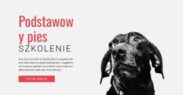 Trening Nowych Umiejętności #Css-Templates-Pl-Seo-One-Item-Suffix
