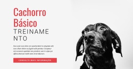 Design Mais Criativo Para Treinar Novas Habilidades