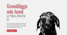 Träna Nya Färdigheter - Responsiv Webbplats