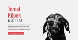 Yeni Beceriler Geliştirmek - Premium Şablon