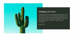 Arizona Çöl Turları - Sayfa Teması