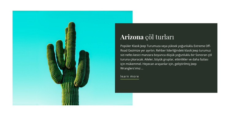 Arizona çöl turları Web Sitesi Şablonu
