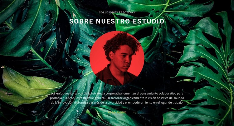 Acerca del estudio sobre fondo verde Plantillas de creación de sitios web