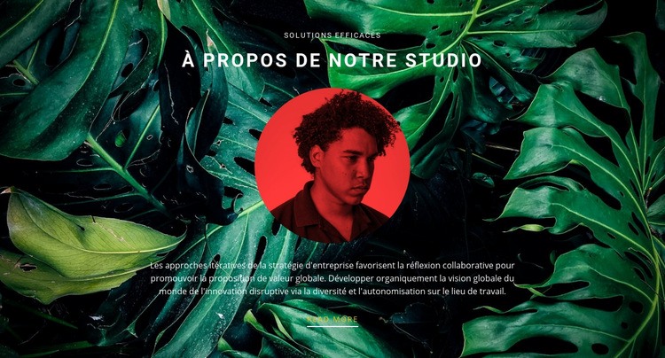 À propos du studio sur fond vert Modèle CSS