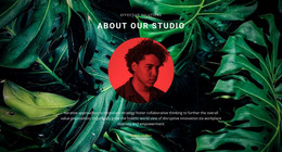 About Studio On Green Background - Homepage Design For Any Device