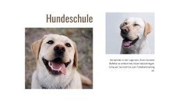 HTML-Seite Für Hundetrainer-Programme