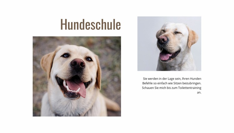 Hundetrainer-Programme Eine Seitenvorlage