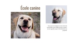 Page HTML Pour Programmes De Dresseurs De Chiens