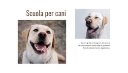 Programmi Per Addestratori Di Cani - Modello HTML5 Reattivo