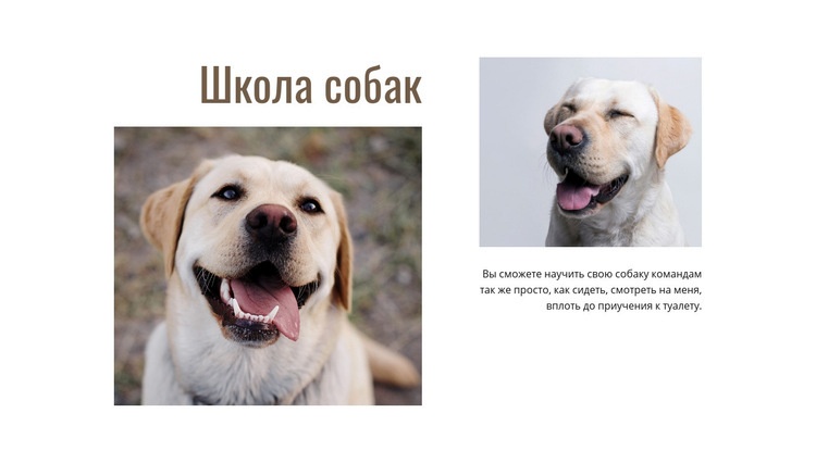 Программы дрессировщиков собак Мокап веб-сайта