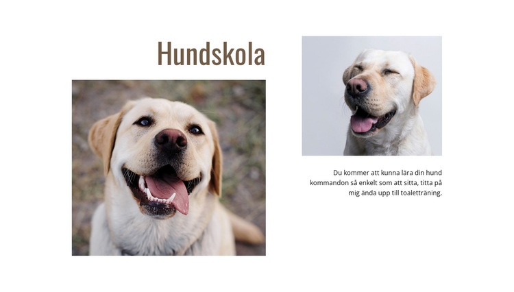 Program för hundtränare Hemsidedesign