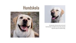 Program För Hundtränare - Mall För Webbdesign