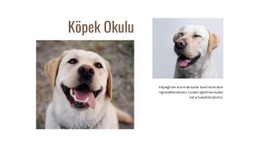 Köpek Eğitmenleri Programları - Bir Sayfalık Önyükleme Şablonu