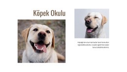 Köpek Eğitmenleri Programları - Özelleştirilebilir Profesyonel Tasarım