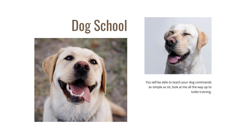 Dog trainers programs Web Page Design