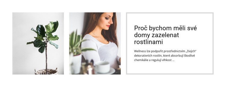 Rostliny pomáhají snižovat stres Téma WordPress