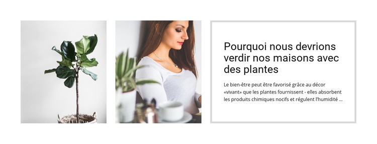 Les plantes aident à réduire le stress Modèles de constructeur de sites Web