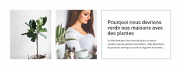 Les Plantes Aident À Réduire Le Stress - Modèle Joomla Moderne