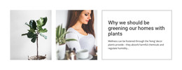 Plants Help Reduce Stress - Functionality Homepage Design