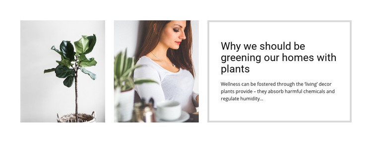 Plants help reduce stress Homepage Design