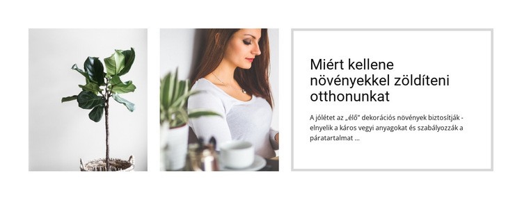 A növények segítenek csökkenteni a stresszt Weboldal sablon