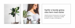 Växter Hjälper Till Att Minska Stress – Responsiv Webbdesign