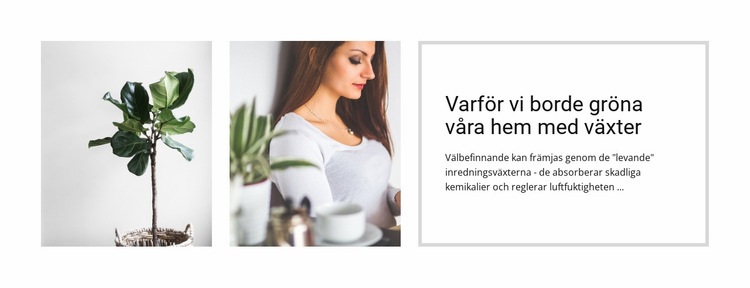 Växter hjälper till att minska stress Mall