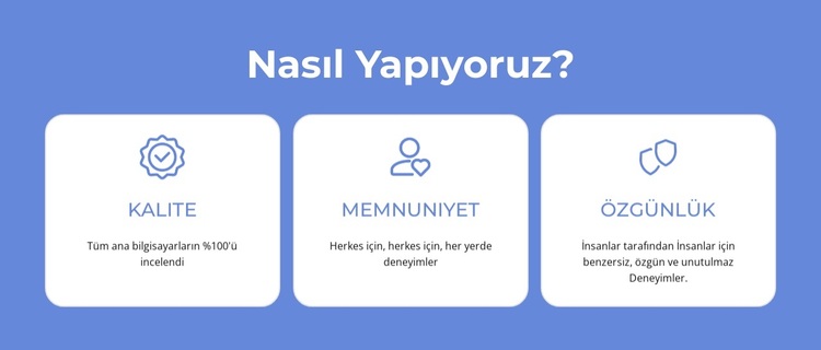 Kalite, memnuniyet WordPress Teması