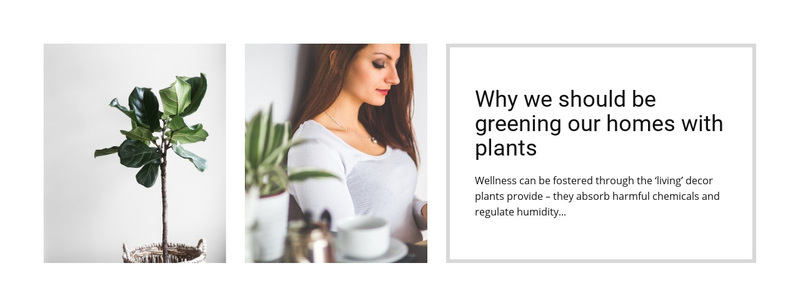 Plants help reduce stress Web Page Design