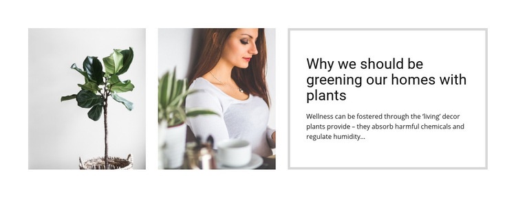 Plants help reduce stress Webflow Template Alternative