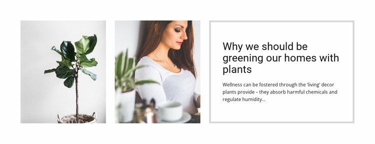 Plants help reduce stress WordPress Website Builder
